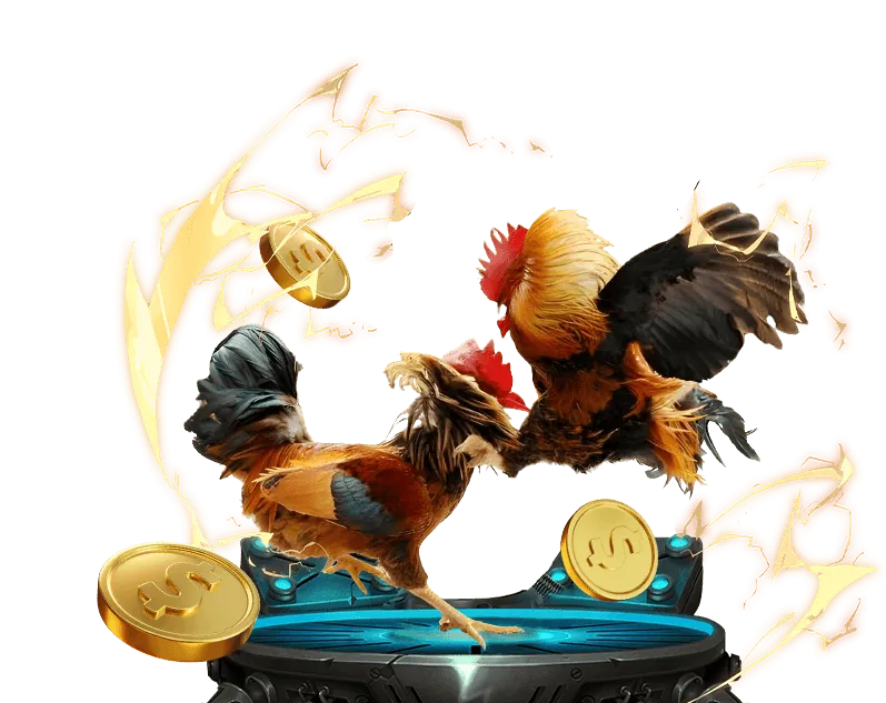 Trải nghiệm người dùng mv66 vip